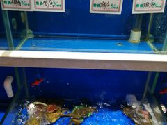 水产区-姜君·千岛湖鱼头馆(浦东大道店)