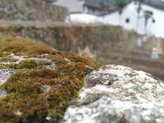 -雪峰寺