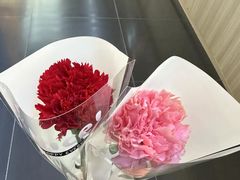 -太二酸菜鱼(武汉光谷保利店)