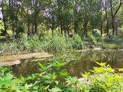 -长白岛森林公园