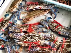 花蟹-南沙十九涌渔人码头-南门