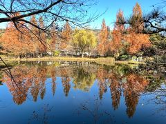 -国家植物园南园