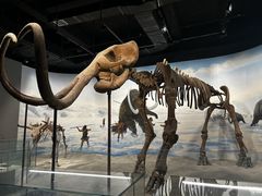 -辽宁古生物博物馆