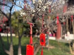 -钱王祠