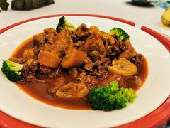 -重庆长寿碧桂园凤悦凤凰酒店