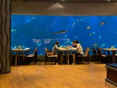 -海棠湾洲际-涛·海底餐厅·美人鱼·自助餐·海底隧道