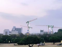 -红花山公园