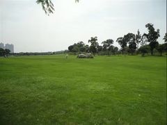 -昆山城市生态森林公园