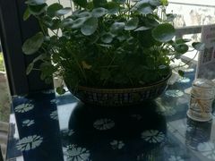 -白家寨子·山野白族菜(古城总店)