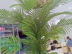 -CoCo都可(东城国贸店)