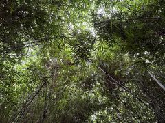 -绍兴镜湖国家城市湿地公园