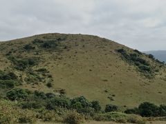-大姆山草场