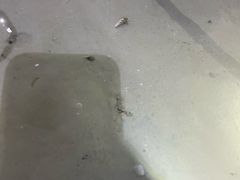 -红树林天天赶海
