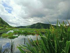 -腾冲北海湿地