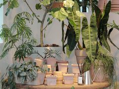 -自由生长植物工作室(深港花卉中心店)
