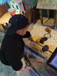 -酷嗒动物文化乐园(cutezoo西溪乐天城店)