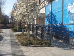 -北京八中游泳馆