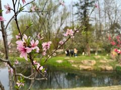 -杭州植物园