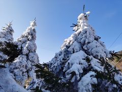 -秦岭风景区