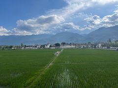 -喜林苑·稻田餐厅(品相府店)
