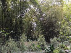 -望江楼公园
