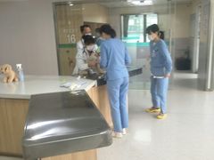 -谐和贝康宠物医院24小时·宠保定点(急重症转诊中心)