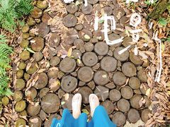 -龙苍沟森林公园