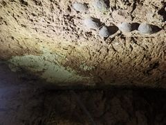 -西峡恐龙遗迹园