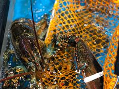 -盒马鲜生(曜一城店)