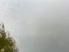 -莫子山公园
