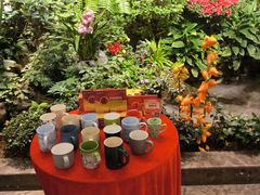 -颐而康·按摩·艾灸·足疗(汽车东站店)