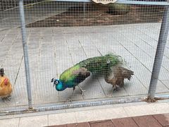 -厦门悦华酒店