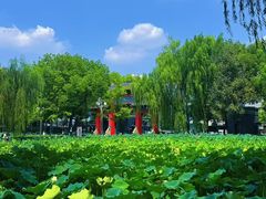 -四川大学(望江校区)