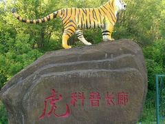 -横道河子东北虎林园
