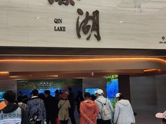 -溱湖国家湿地公园