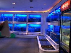 水产区-金苑海鲜酒家(来魅力店)