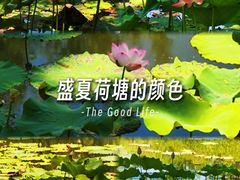 -郑州植物园