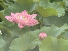 -黄兴公园