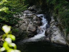 -少华山国家森林公园