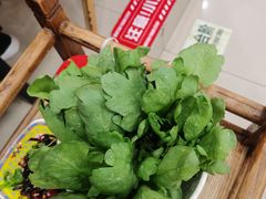 -芦月轩羊蝎子(北蜂窝店)