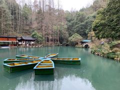 -灵栖洞天