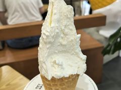 -野人先生Gelato(上海长宁龙之梦店)