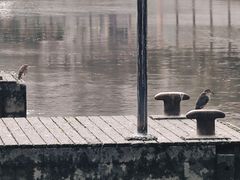 -苏州河梦清园环保主题公园