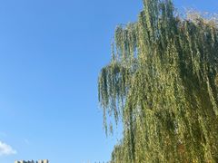 -南翔镇银翔湖公园
