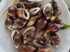 红树林竹螺-钟叔烩鸡