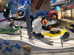 -帝企鹅自助餐厅•儿童岛•真企鹅(长隆企鹅酒店)