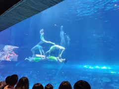 -华夏文旅海洋公园