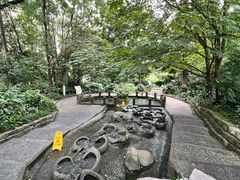 -成都市活水公园
