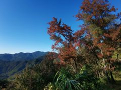 -广州市石门国家森林公园
