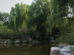 -北京西山国家森林公园